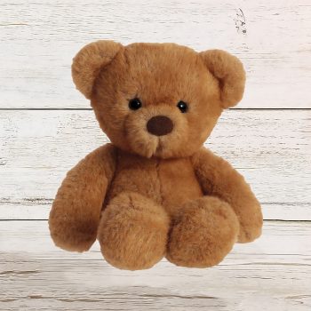 Teddy Bear Soft Toy