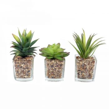 Artificial Succulents In Glass Planters