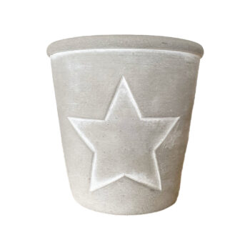 Concrete Pot with White Star