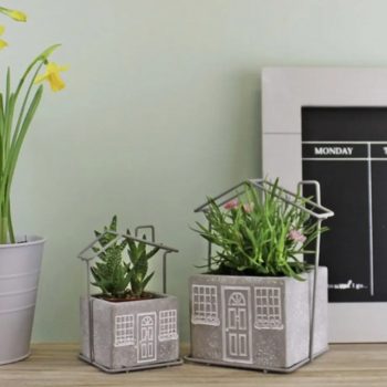 Cement Square Planters - Set of Two