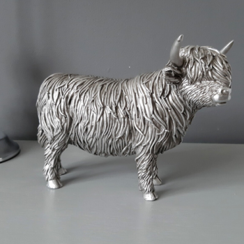 Silver Highland Cow