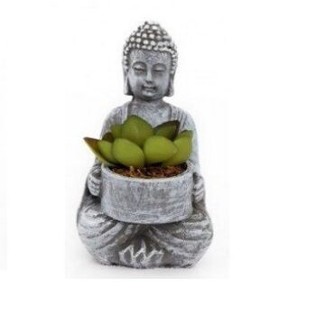 Sitting Buddha With Succulent