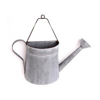 Watering Can Wall Planter